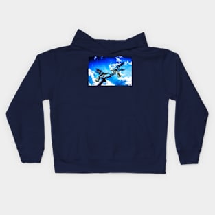 Buzzards Fighting In Flight Kids Hoodie